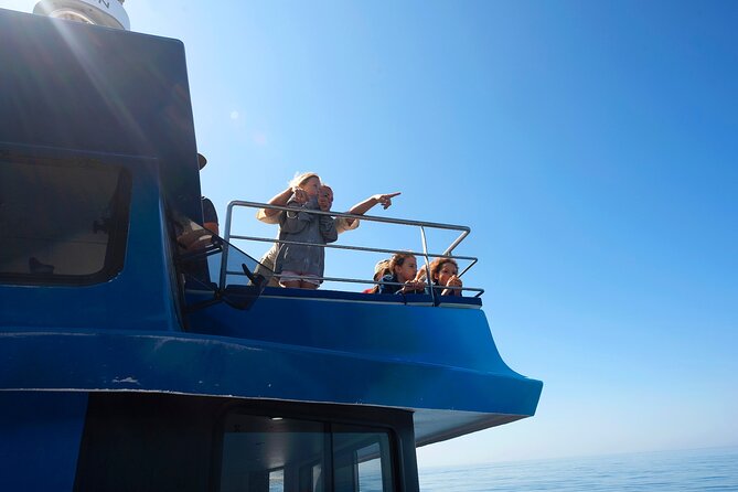 Lagos: Dolphins & Benagil Caves – Catamaran - From Captain’s Nest to open Atlantic: the 3.5-hour rhythm