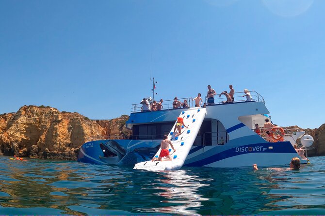 Lagos: Dolphins & Benagil Caves – Catamaran - Dolphin watching in the wild: how the crew improves your odds