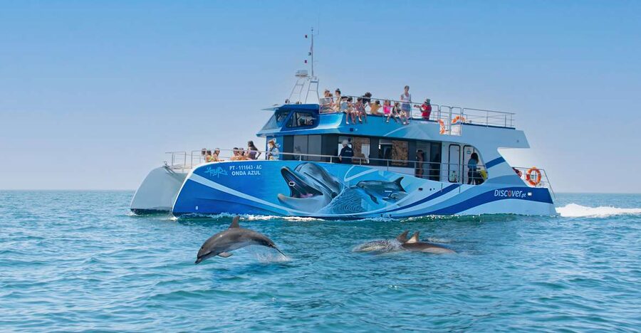 Lagos: Dolphins & Caves - Catamaran - Key things to know before you go