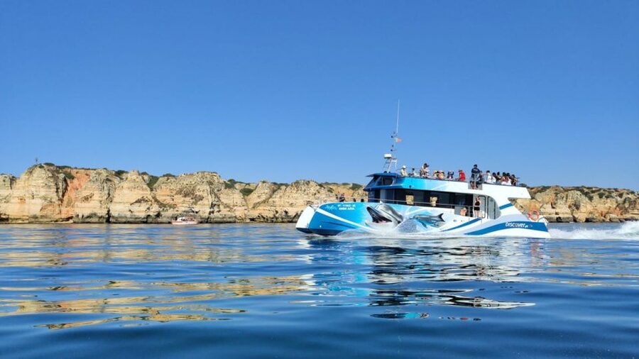 Lagos: Dolphins & Caves - Catamaran - What the marine biologist actually adds to the dolphin cruise