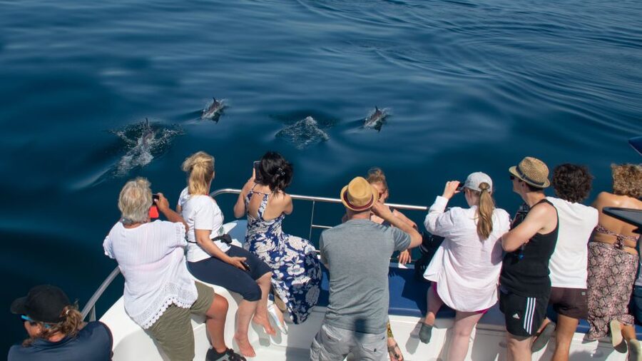 Lagos: Dolphins & Caves - Catamaran - What to bring (and what to avoid) so the day feels easy