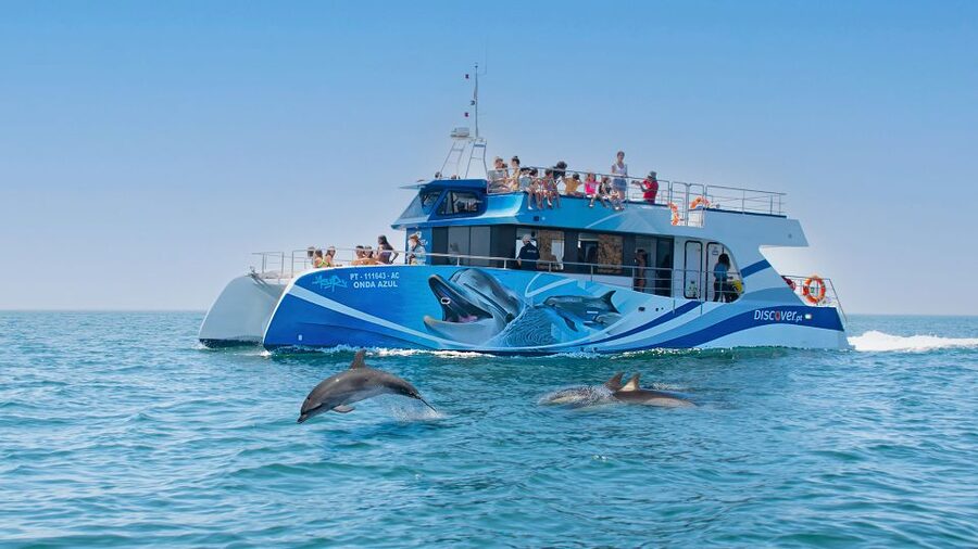 Lagos: Dolphins & Caves - Catamaran - The 2.5-hour plan: search, spot, then swim at a secluded bay