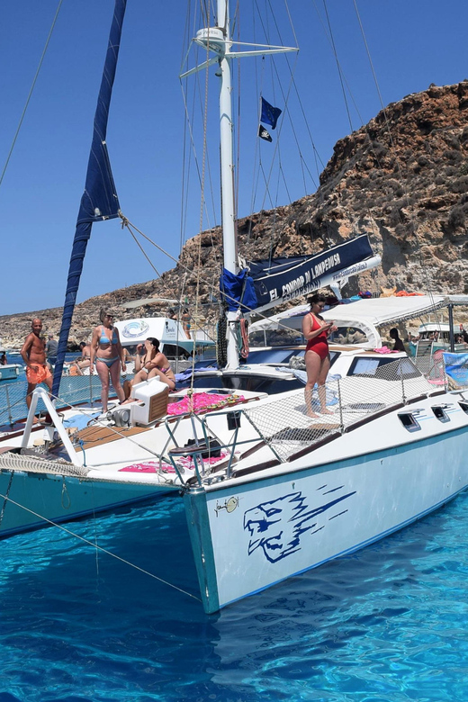 Lampedusa: Dolphin watching with aperitif at sunset - Key highlights at a glance