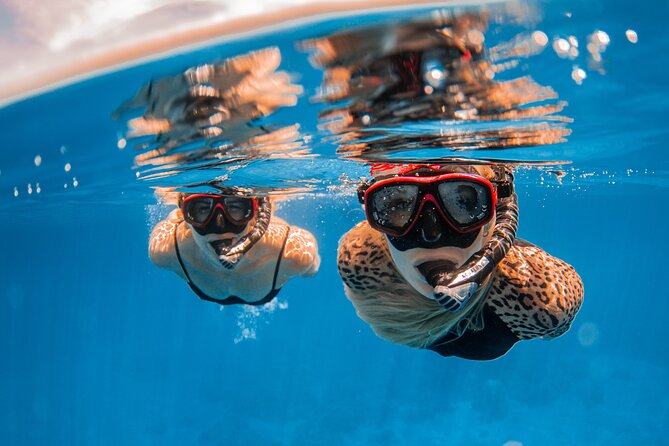 Lana'i Snorkel And Dolphin Quest with Maui Turtle Spot Tour - Snacks, Lilikoi Banana Bread, and BYOB Rules