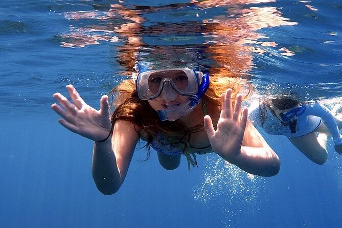 Lana'i Snorkel And Dolphin Quest with Maui Turtle Spot Tour - Who This Trip Fits Best (And Who Might Want a Different Plan)