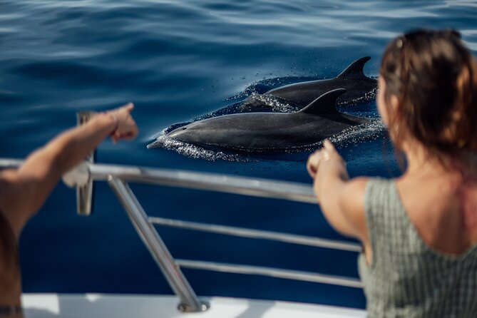 Lana'i Snorkel And Dolphin Quest with Maui Turtle Spot Tour - Two Snorkel Spots: Remote Lana’i Reef Time Plus West Maui Fish
