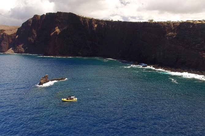 Lanai Deluxe Dolphin Adventure & 3 Snorkel Sites - Key highlights you’ll feel on this trip