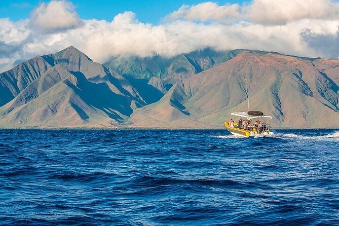 Lanai Deluxe Dolphin Adventure & 3 Snorkel Sites - Maui to Lanai in a fast, smaller-boat format