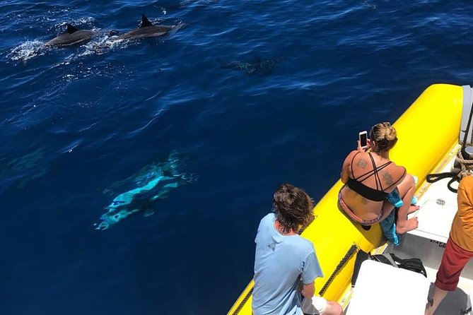 Lanai Deluxe Dolphin Adventure & 3 Snorkel Sites - Stop 1 at Lanai: cliffs, coral, and animal sightings near the reef