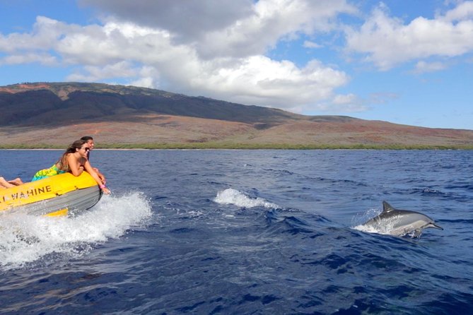 Lanai Deluxe Dolphin Adventure & 3 Snorkel Sites - Food, drinks, flotation gear, and BYOB: the comforts you’ll appreciate