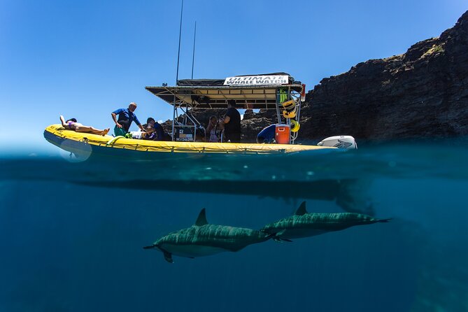 Lanai Deluxe Dolphin Adventure & 3 Snorkel Sites - Who should book this Lanai dolphin-and-snorkel adventure