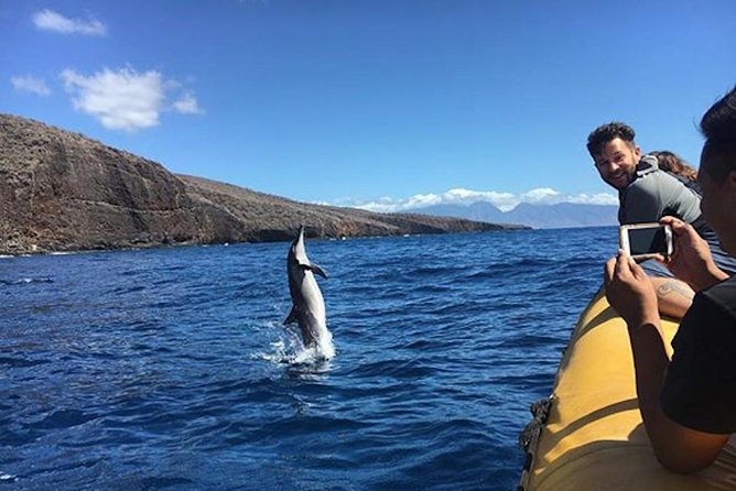 Lanai Deluxe Dolphin Adventure & 3 Snorkel Sites - What you’re really hunting for in Lanai waters
