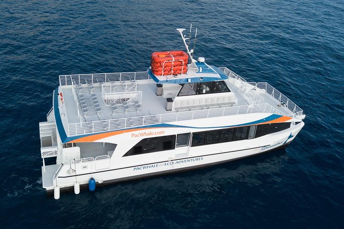 Lanai Snorkel and Dolphin Watch from Maalaea - Comfort and rules that affect your day