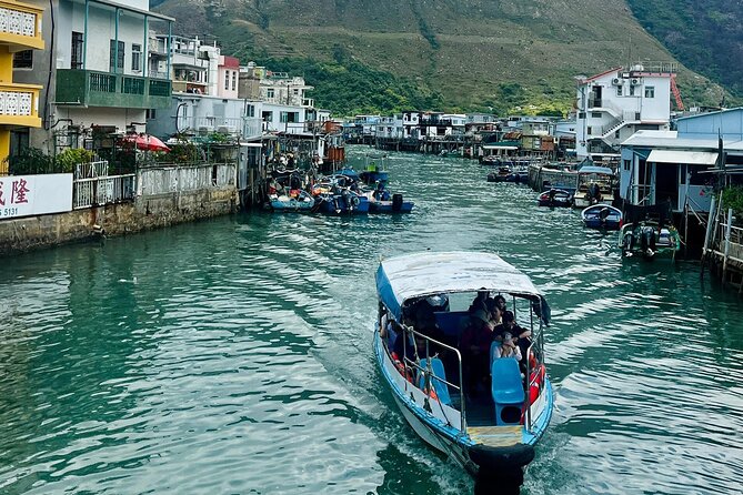 Lantau Group Tour: Dolphin Watching, Fishing Village & Cable Car - Tai O Fishing Village boat ride: stilts, water, and dolphin odds