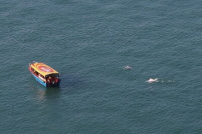 Lantau Group Tour: Dolphin Watching, Fishing Village & Cable Car - Tian Tan Buddha and the 360-degree viewpoint effect