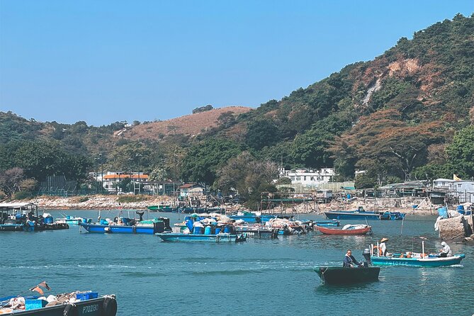 Lantau Group Tour: Dolphin Watching, Fishing Village & Cable Car - How the day runs: pickup, private coach, and not wasting time