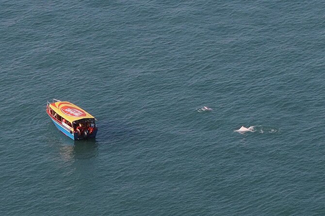 Lantau Group Tour: Dolphin Watching, Fishing Village & Cable Car - Tian Tan Buddha and the 360-degree viewpoint effect