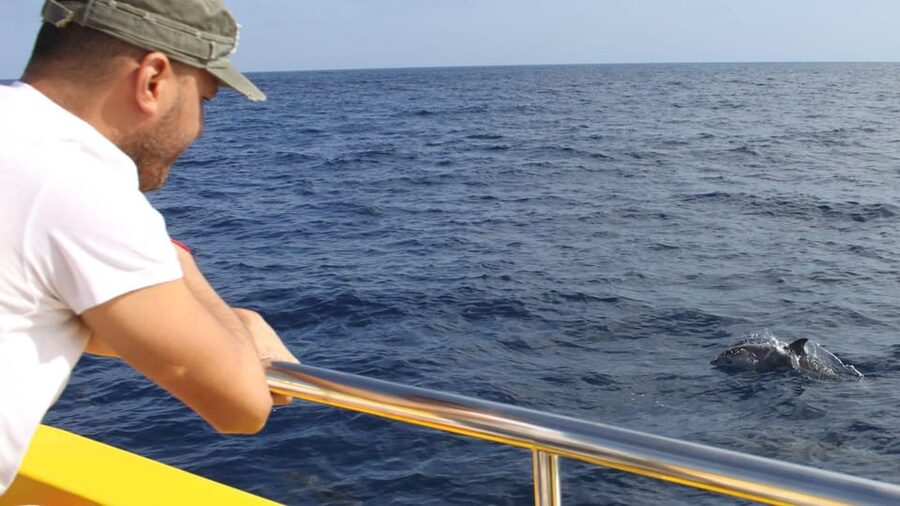 Lanzarote: 2.5-Hour Sunset and Dolphins Cruise - From hotel pickup to Puerto del Carmen: getting there without stress
