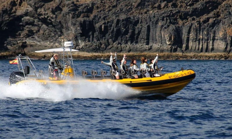 Lanzarote: Dolphin Watching by speedboat - Price and Value: Is $77 a Fair Deal?