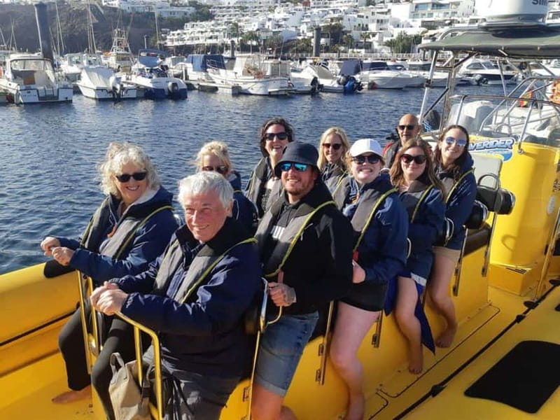 Lanzarote: Dolphin Watching by speedboat - What You’ll Spot: Dolphins, Turtles, and Seabirds