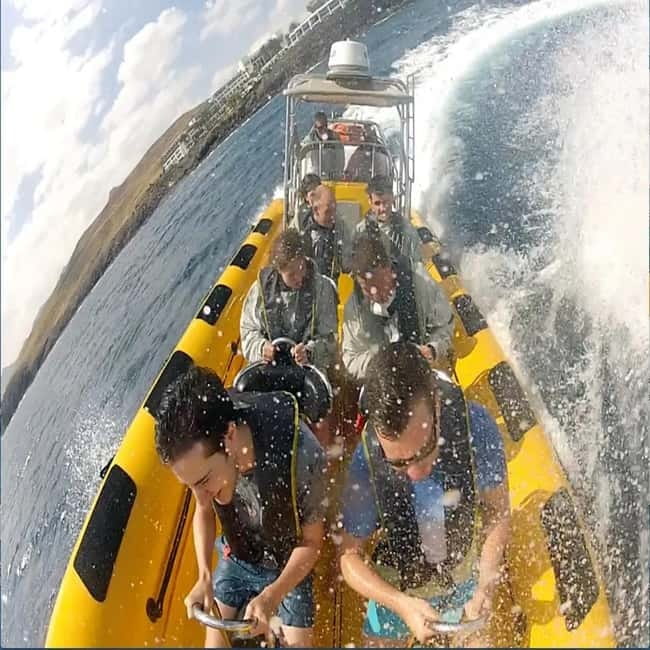 Lanzarote: Dolphin Watching by speedboat - Safety, Rules, and the Stuff You Must Follow