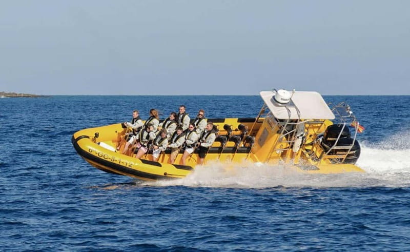 Lanzarote: Dolphin Watching by speedboat - What to Pack: Sun, Water, and Your Personal Comfort Plan