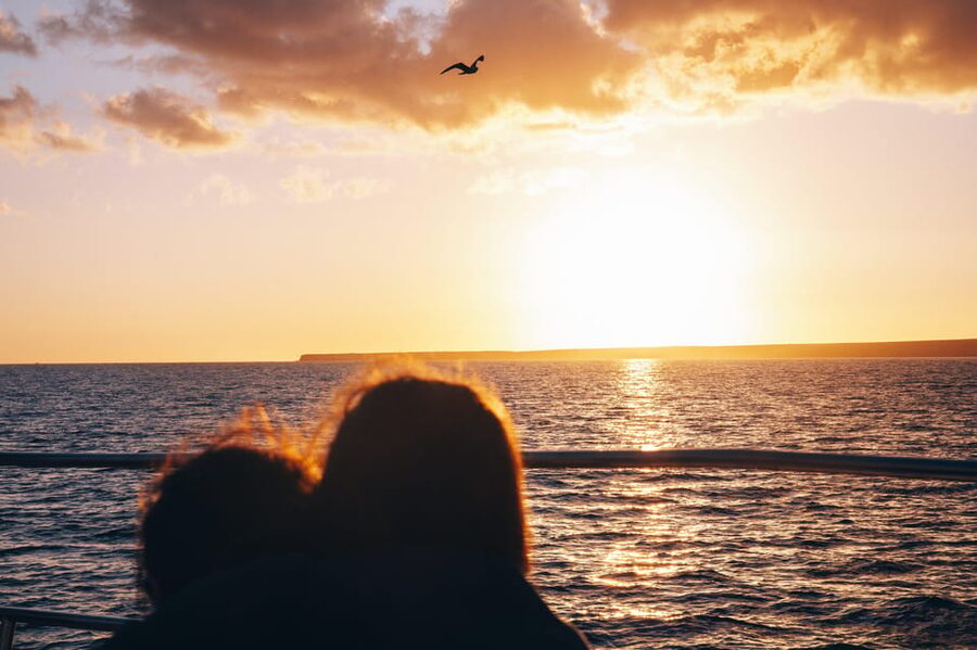 Lanzarote: Dolphin-Watching Sunset Cruise with Transfers - Key things to know before you go