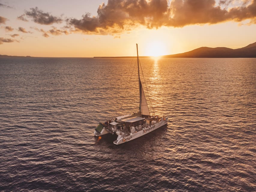 Lanzarote: Dolphin-Watching Sunset Cruise with Transfers - Price and what you actually get for $60