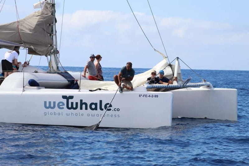 Lanzarote Sunset Experience with dolphin spotting - Why La Santa María’s electric sunset feels different