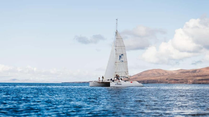 Lanzarote Sunset Experience with dolphin spotting - From Marina Puerto Calero to open water: the 2.5-hour flow
