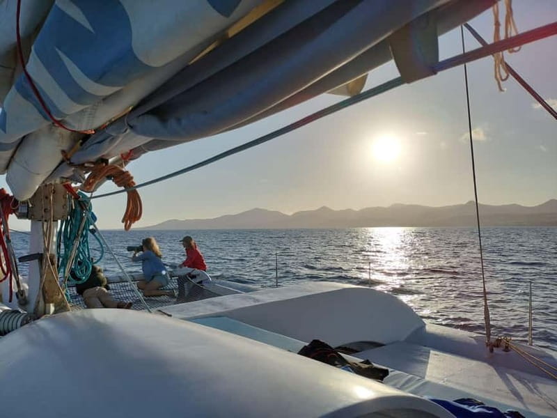 Lanzarote Sunset Experience with dolphin spotting - OceanBeer, fruit juices, and the snack situation