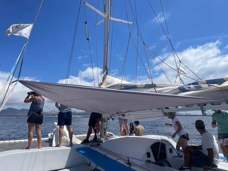 Lanzarote Sunset Experience with dolphin spotting - A real decision check: should you book?