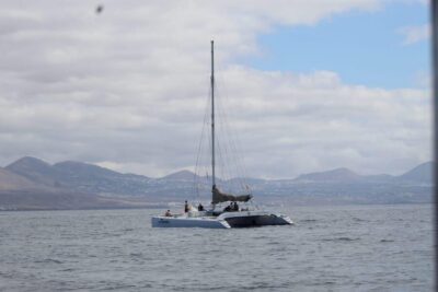 Lanzarote: Whale and Dolphin Watching Eco-Friendly Catamaran - Why “eco-friendly” here is more than a marketing line