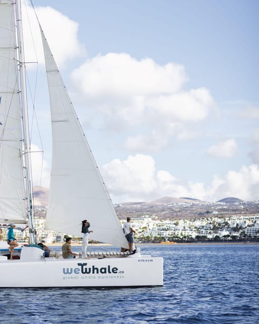 Lanzarote: Whale and Dolphin Watching Eco-Friendly Catamaran - The hydrophone and the crew’s calm guidance
