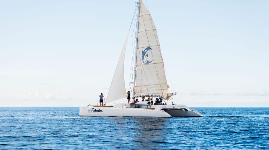 Lanzarote: Whale and Dolphin Watching Eco-Friendly Catamaran - What you’ll do on the boat: snacks, drinks, and the viewing rhythm