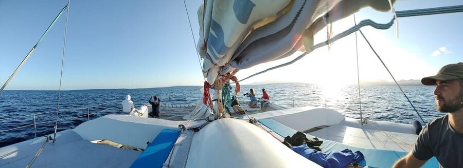 Lanzarote: Whale and Dolphin Watching Eco-Friendly Catamaran - Wildlife sightings: what to hope for, and how to think about odds