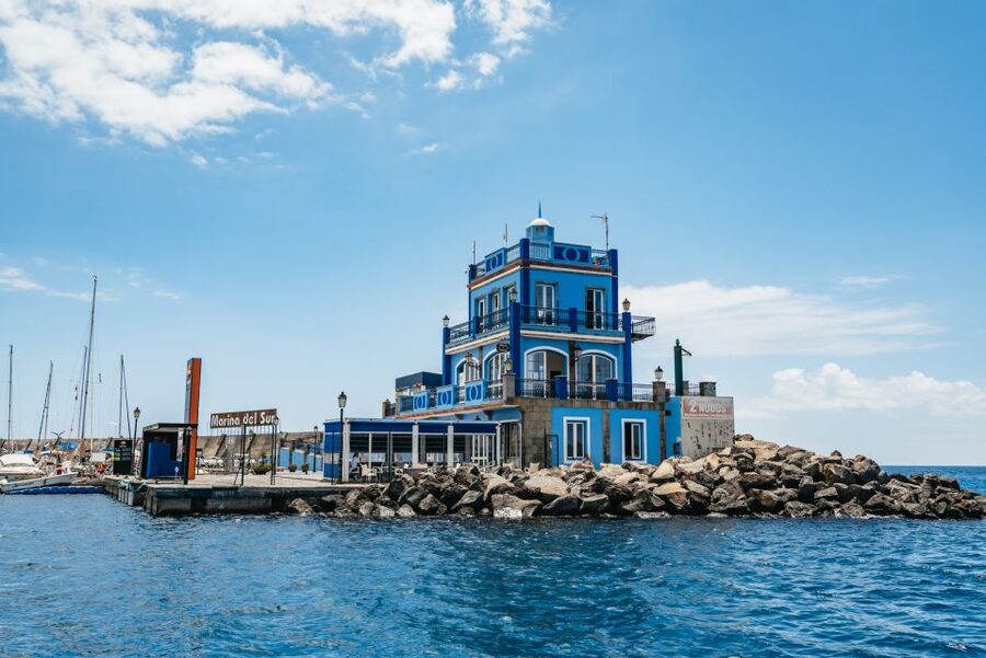 Las Galletas: Whale & Dolphin Tour with Local Skipper - Should you book this Las Galletas whale-and-dolphin cruise?