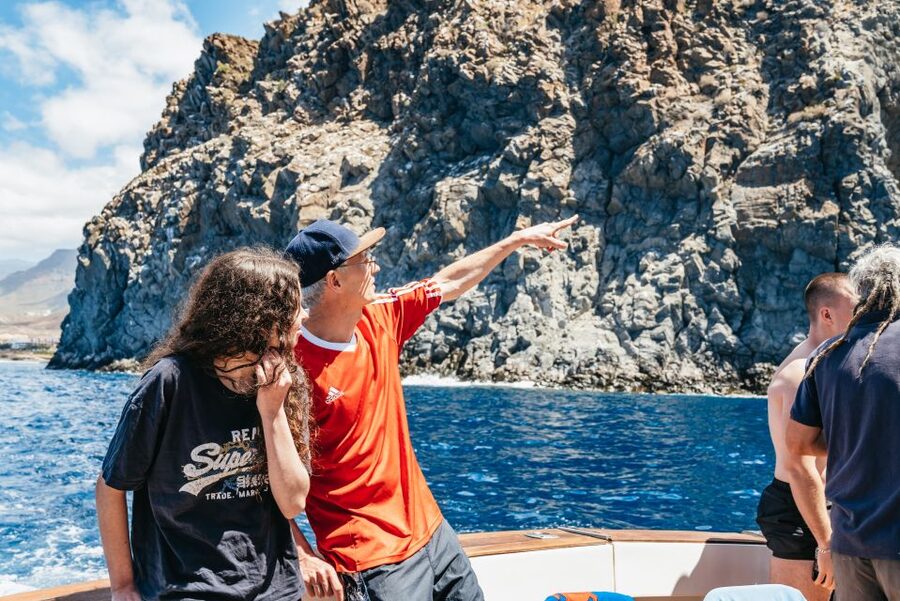 Las Galletas: Whale & Dolphin Tour with Local Skipper - The anchored swim-and-snorkel stop: what’s fun and what to plan for