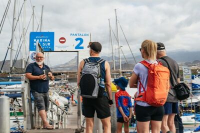 Las Galletas: Whale & Dolphin Tour with Local Skipper - Whale and dolphin spotting off Tenerife: how the crew helps you see more