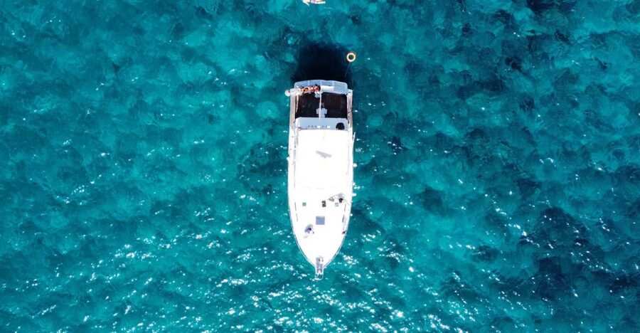 Las Galletas: Whale & Dolphin Tour with Local Skipper - Lunch on board: homemade local food that actually hits the spot