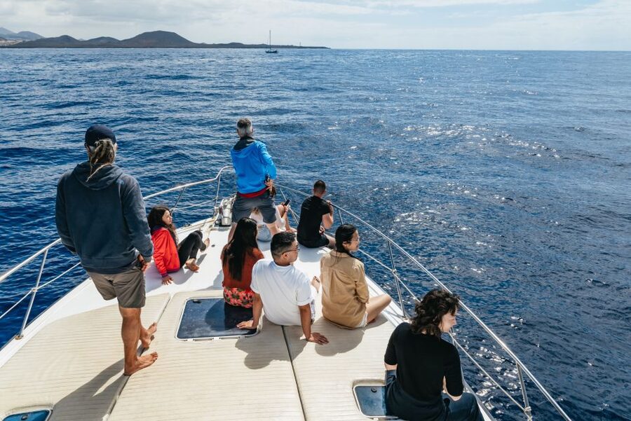 Las Galletas: Whale & Dolphin Tour with Local Skipper - Price and value: why $69 can be a smart pick in Tenerife