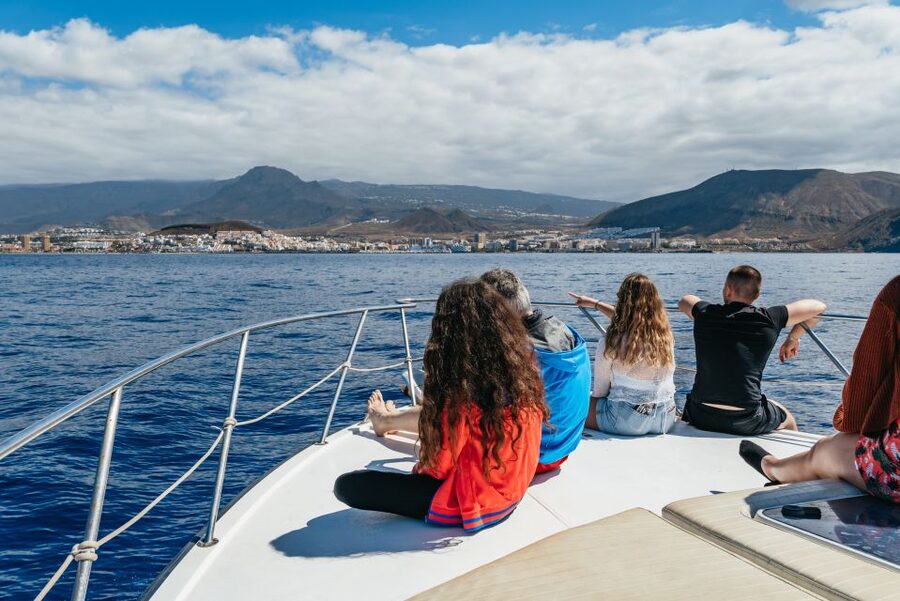 Las Galletas: Whale & Dolphin Tour with Local Skipper - Who this tour suits best (and who might want to rethink it)