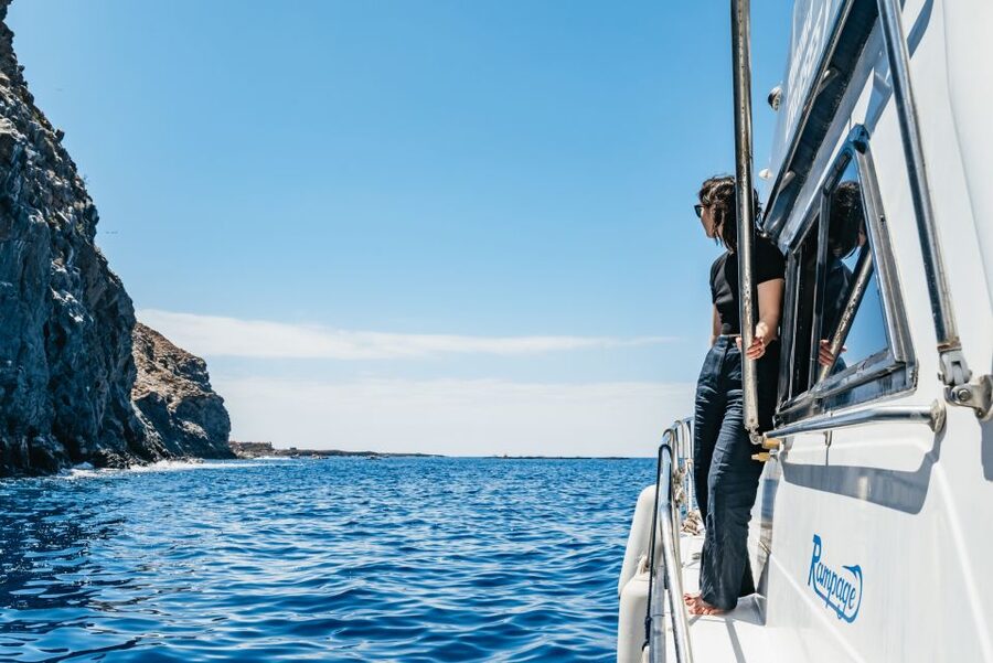 Las Galletas: Whale & Dolphin Tour with Local Skipper - Tips that make a noticeable difference on the day