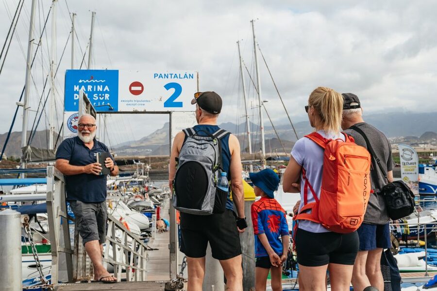 Las Galletas: Whale & Dolphin Tour with Local Skipper - Whale and dolphin spotting off Tenerife: how the crew helps you see more