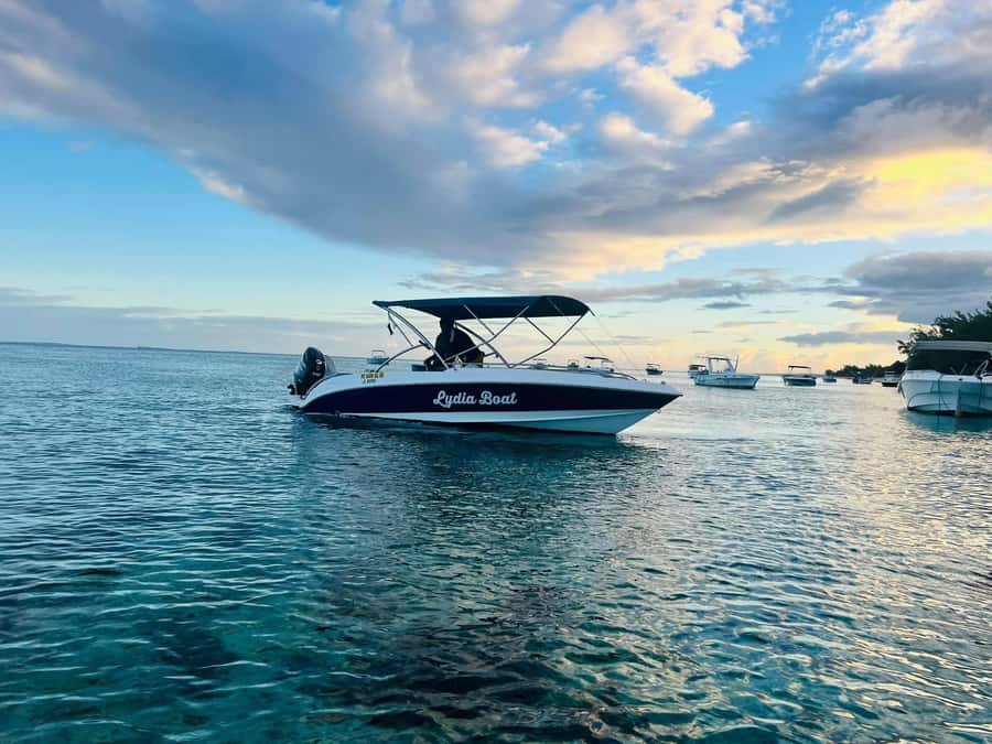 Le Morne: Private Boat Tour Dolphin-Watching & swimming - Respect-First Dolphin Watching: The Point of the Rules