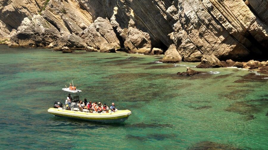 Lisbon: Arrábida Natural Park Dolphin Watching Boat Tour - The Coastline Stops: Beaches, Rocks, and Caves You See Better From Water