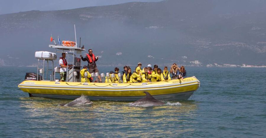 Lisbon: Arrábida Natural Park Dolphin Watching Boat Tour - The Boat Ride: Semi-inflatable Comfort and Practical Speed