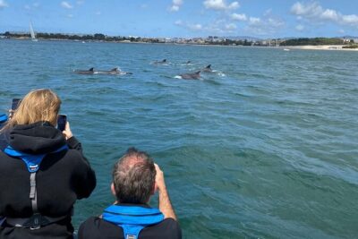 Lisbon: Dolphin Watching with Marine Biologist - Small Group - Tagus River to Open Sea: what the boat ride is really about