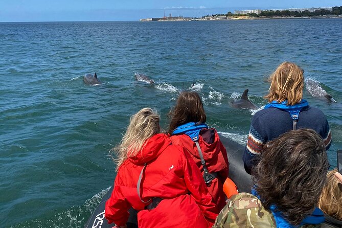 Lisbon: Dolphin Watching with Marine Biologist - Small Group - Weather, wind, and sea comfort: how to pack smarter