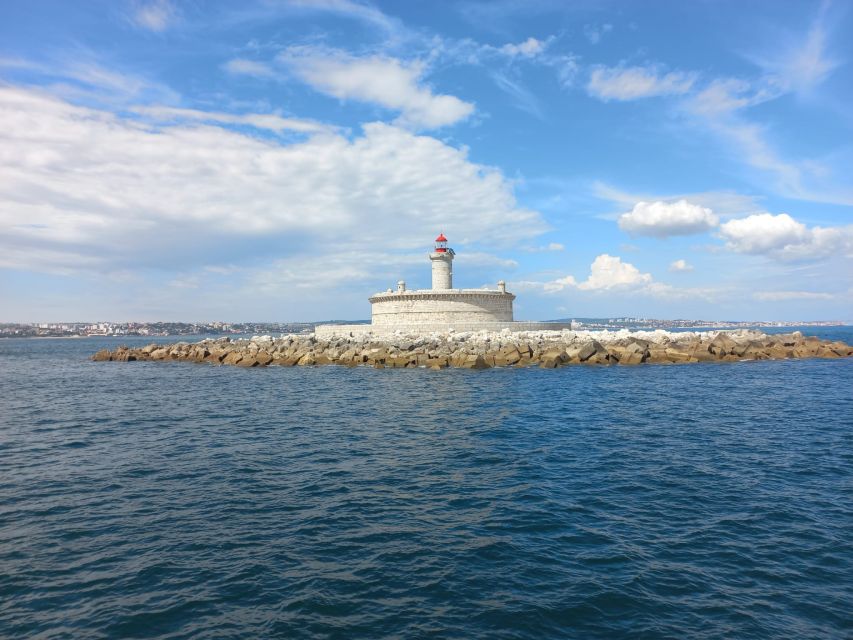 Lisbon: Tagus River Cruise to the Ocean & Dolphin Watching - Should you book this Tagus River dolphin cruise?